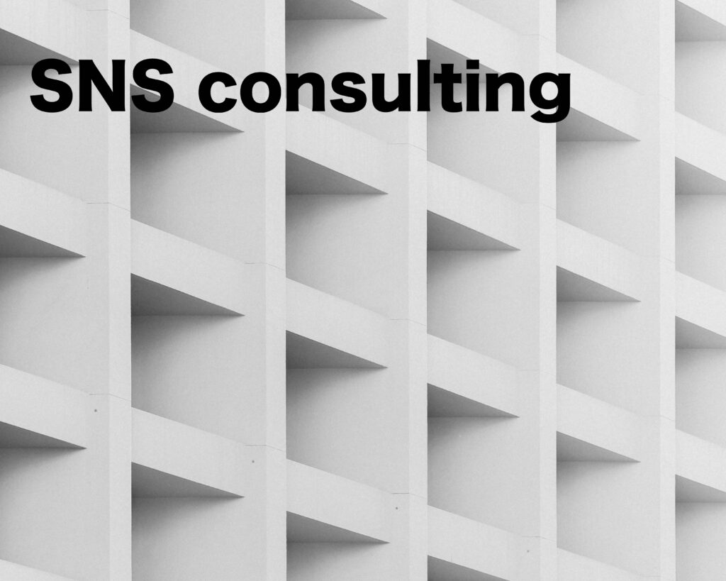 SNS運用代行